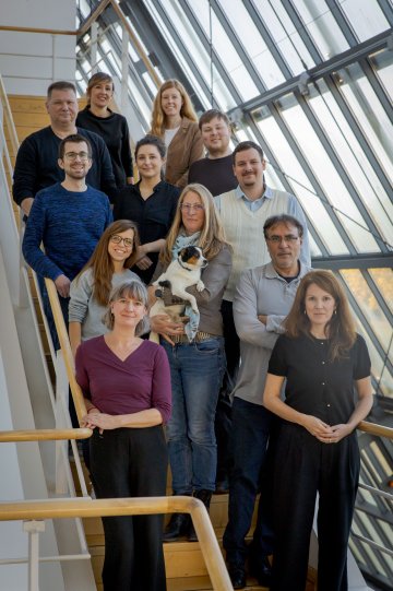 Gruppenfoto von AuW auf einer Treppe im Wissenschaftspark