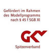Logo GKV Spitzenverband