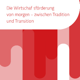 Buchcover: Wirtschaftsförderung von morgen