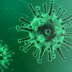 Bild eines Viruses