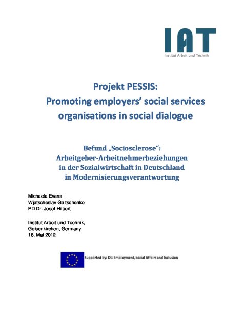 Endbericht zum Projekt PESSIS: Promoting employers’ social servicesorganisationsin social dialogue