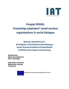 Endbericht zum Projekt PESSIS: Promoting employers’ social servicesorganisationsin social dialogue