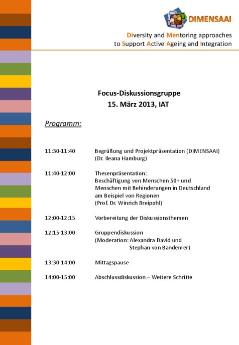 Programm DIMENSAAI Focus-Diskussionsgruppe 15.03.2013